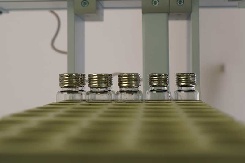 La IA, el nuevo ‘infiltrado’ en el panel de cata de aceite de oliva