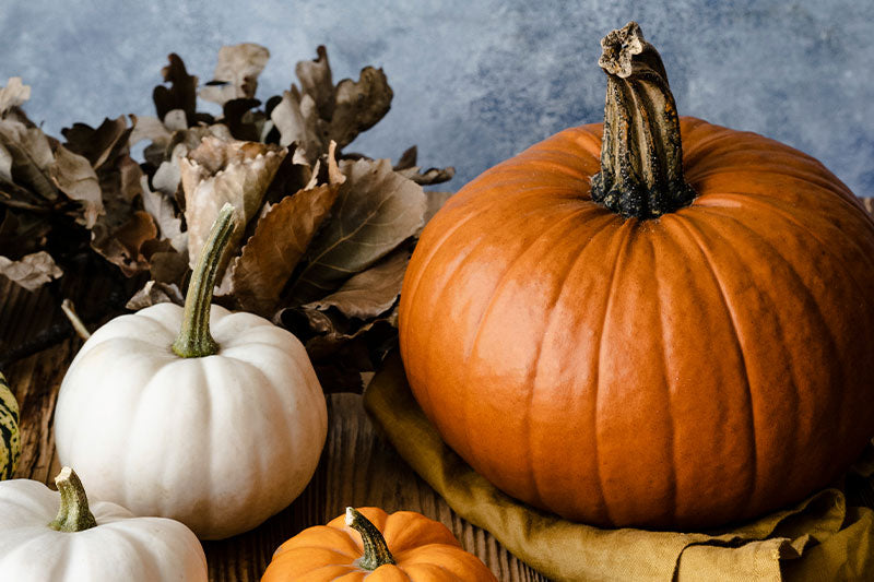 Recetas de Halloween con aceite de oliva: cómo preparar un menú de miedo