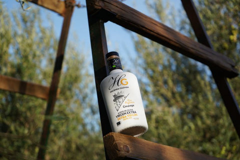 Aceite Hojiblanca: descubre sus características y cómo maridarlo