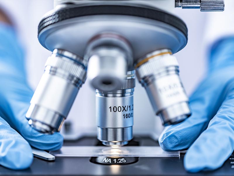 aceite de oliva para el cerebro y memoria