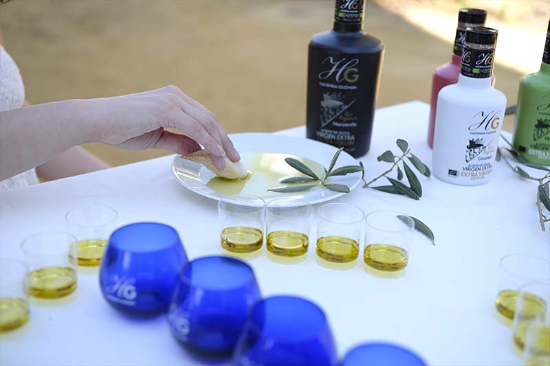 como reconocer un buen aceite de oliva