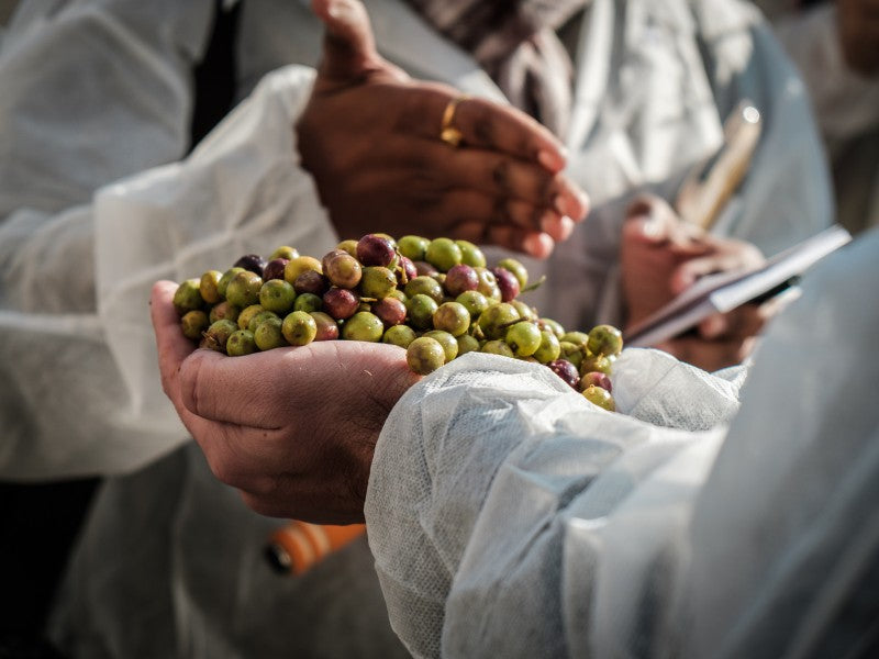 cuantos kilos de aceitunas se necesitan para un litro de aceite